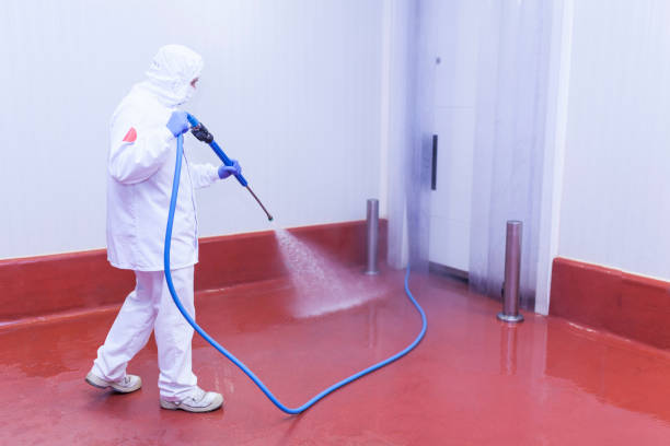 Best Graffiti Removal  in Patrick Af, FL